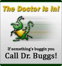 docisin