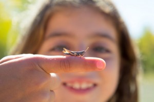 kid hand holding grasshopper bug macro